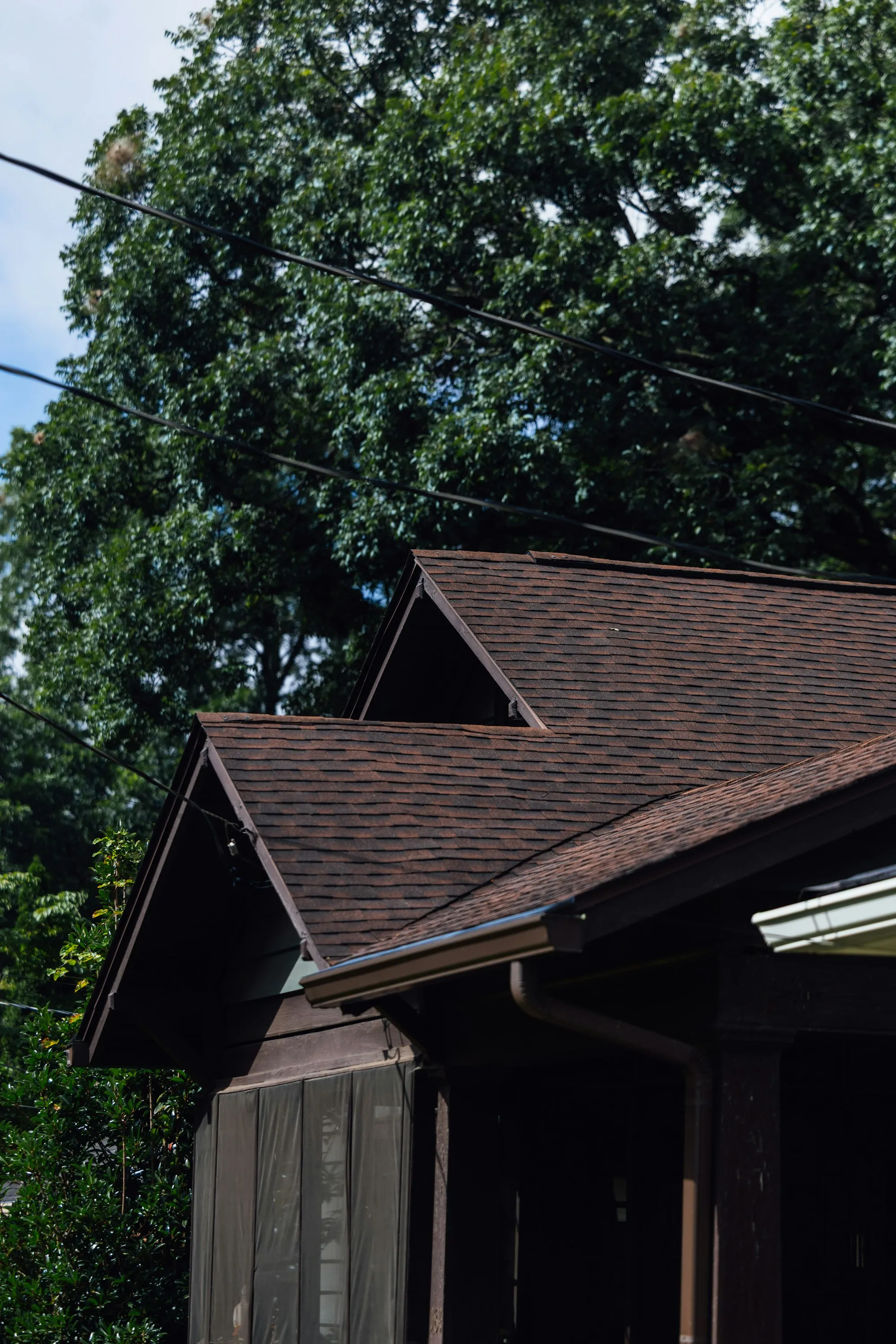 Brown asphalt shingle roof lines among green trees