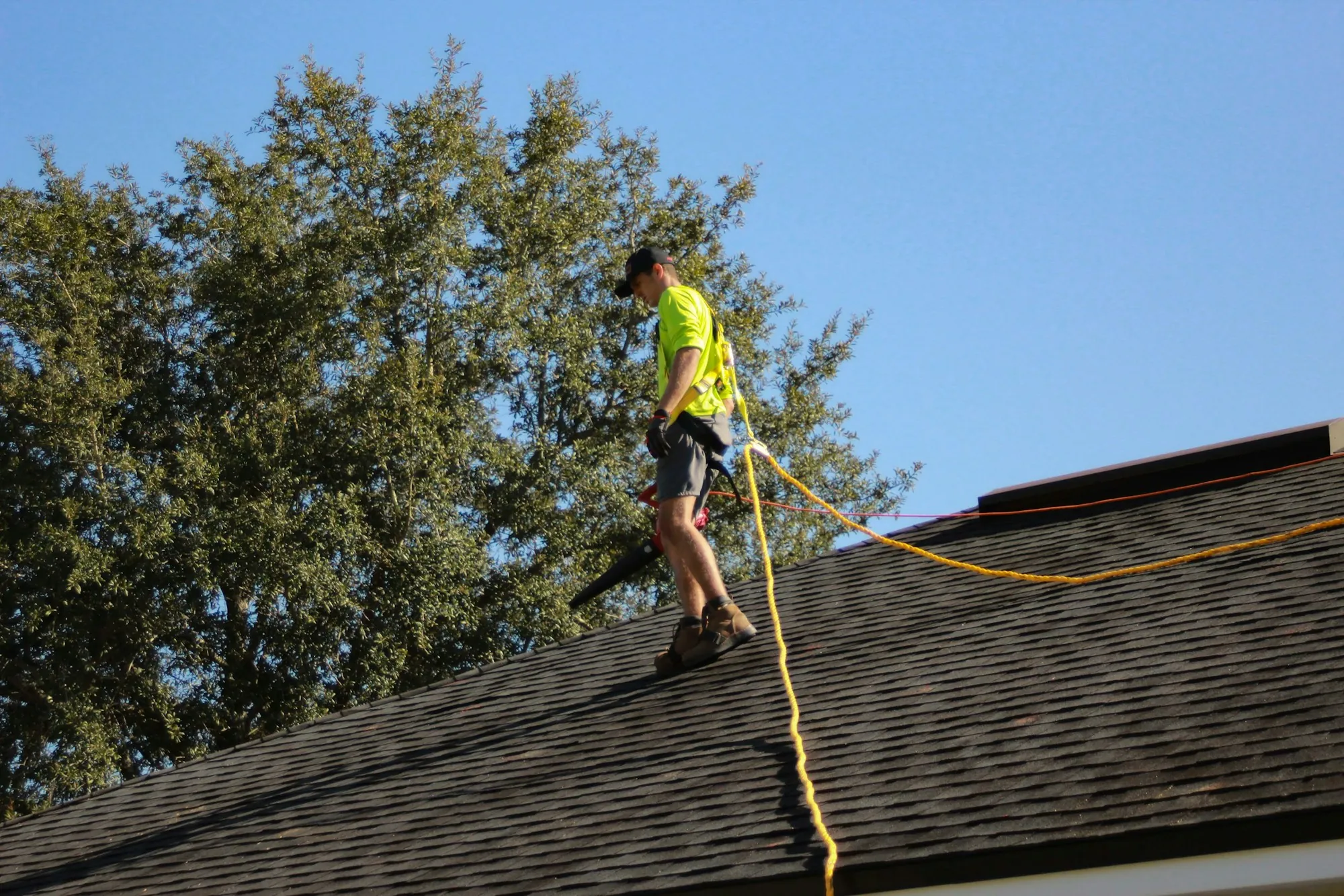 Roofer tied off with a safety rope walking across a shingle roof below tall trees