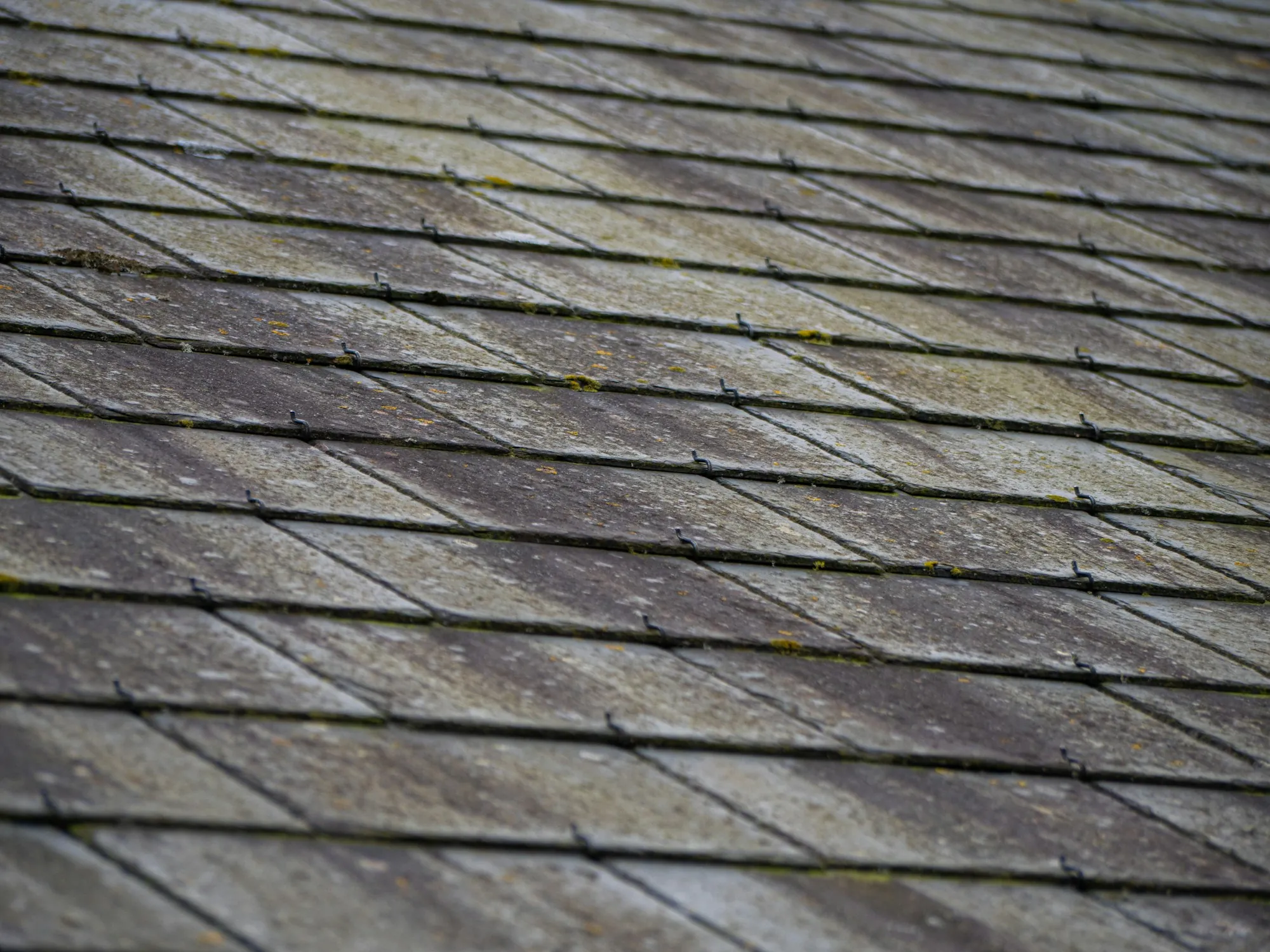 Weathered gray shingles on a sloped roof